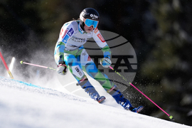 United States World Cup Giant Slalom Skiing
