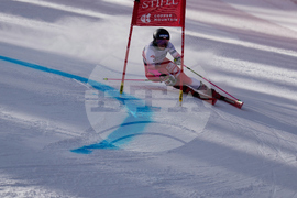 United States World Cup Giant Slalom Skiing