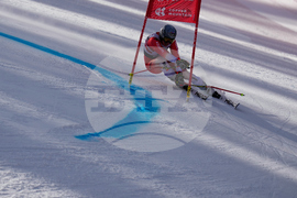 United States World Cup Giant Slalom Skiing
