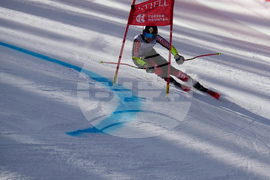 United States World Cup Giant Slalom Skiing