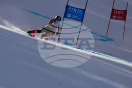 United States World Cup Giant Slalom Skiing