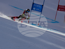 United States World Cup Giant Slalom Skiing