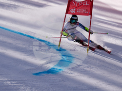 United States World Cup Giant Slalom Skiing
