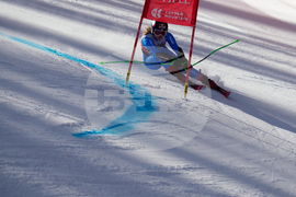 United States World Cup Giant Slalom Skiing