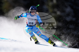 United States World Cup Giant Slalom Skiing