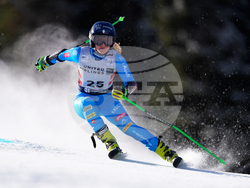 United States World Cup Giant Slalom Skiing