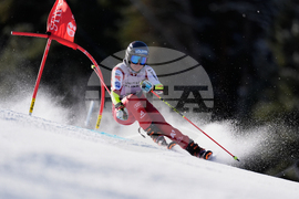United States World Cup Giant Slalom Skiing