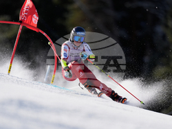 United States World Cup Giant Slalom Skiing