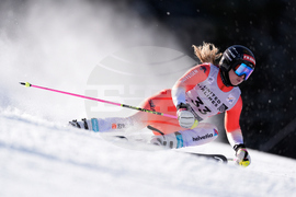 United States World Cup Giant Slalom Skiing