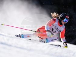 United States World Cup Giant Slalom Skiing