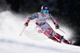 United States World Cup Giant Slalom Skiing