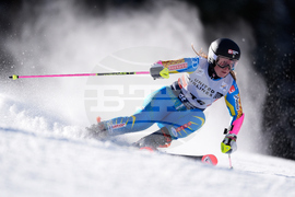 United States World Cup Giant Slalom Skiing