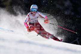 United States World Cup Giant Slalom Skiing