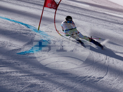 United States World Cup Giant Slalom Skiing