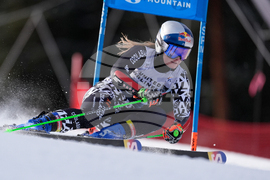 United States World Cup Giant Slalom Skiing