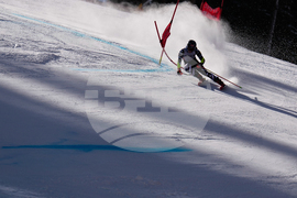 United States World Cup Giant Slalom Skiing