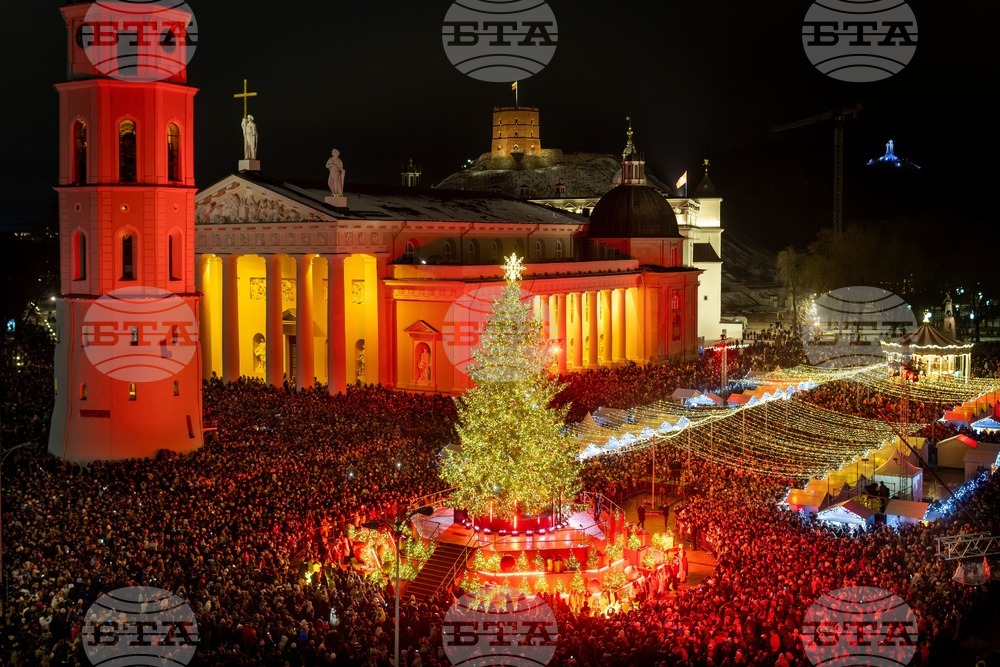 Lithuania Christmas Tree