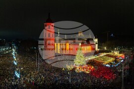 Lithuania Christmas Tree