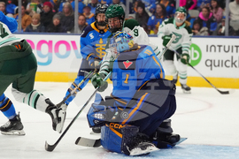 PWHL Fleet Sceptres Hockey