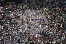 Peru Brazil Copa Libertadores Soccer