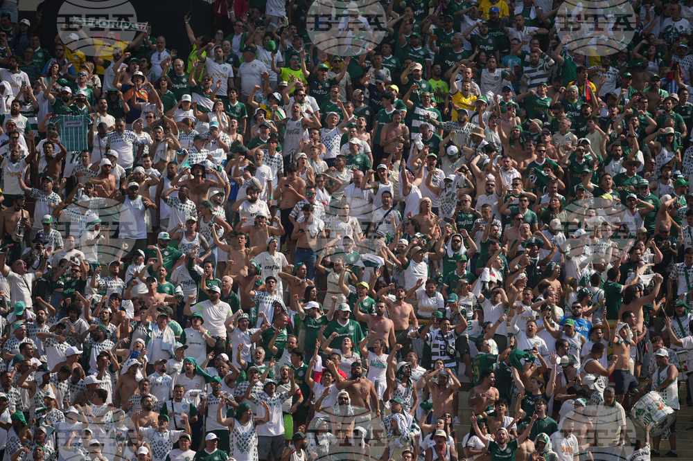 Peru Brazil Copa Libertadores Soccer
