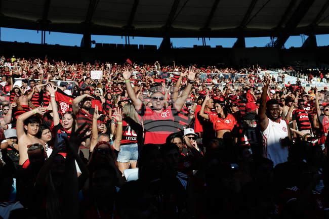 Brazil Copa Libertadores Soccer