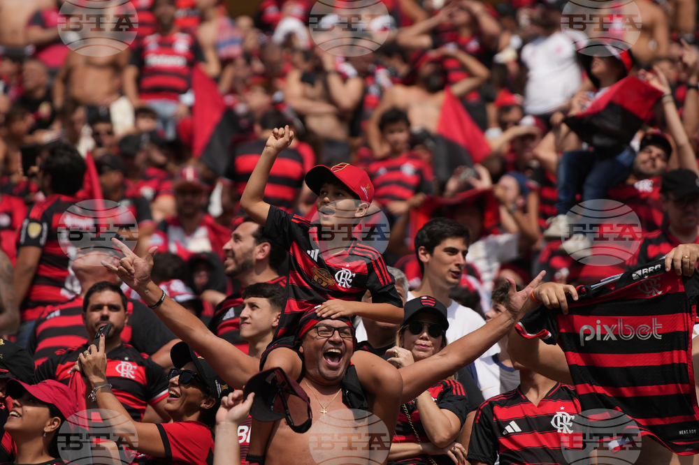 Peru Brazil Copa Libertadores Soccer