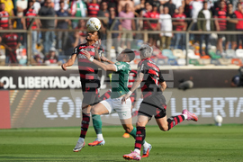 Peru Brazil Copa Libertadores Soccer