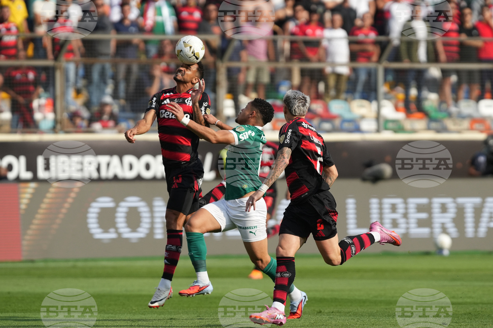 Peru Brazil Copa Libertadores Soccer