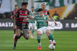 Peru Brazil Copa Libertadores Soccer