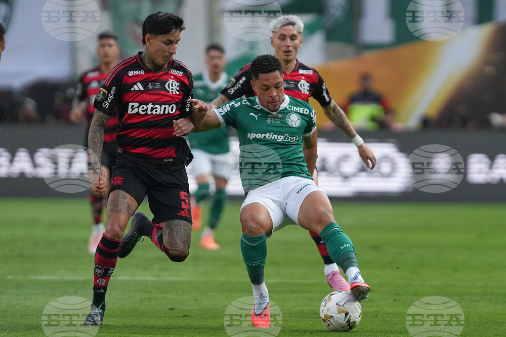 Peru Brazil Copa Libertadores Soccer