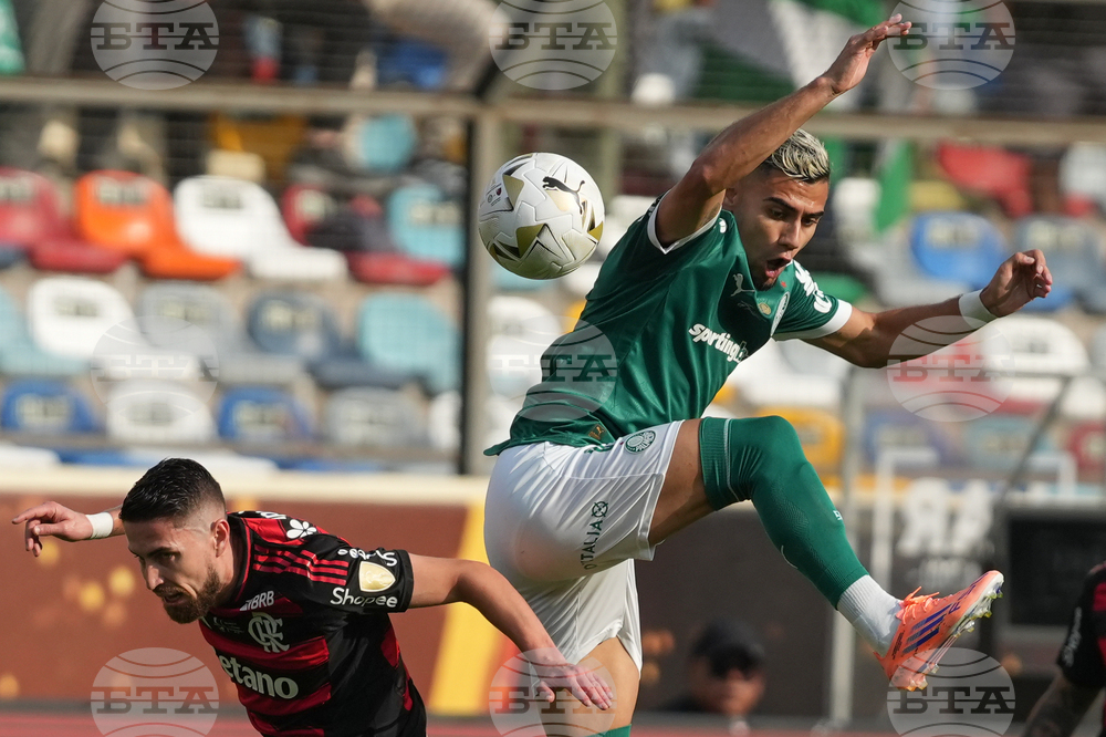 Peru Brazil Copa Libertadores Soccer