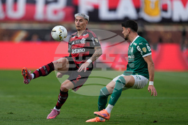 Peru Brazil Copa Libertadores Soccer