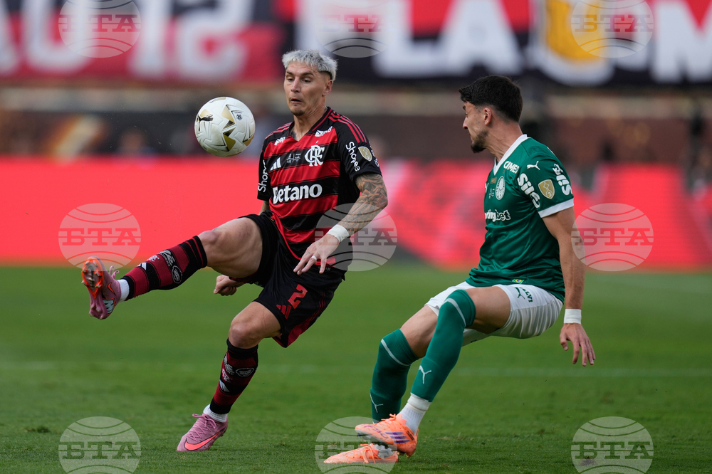 Peru Brazil Copa Libertadores Soccer