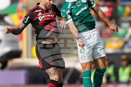 Peru Brazil Copa Libertadores Soccer