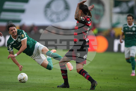 Peru Brazil Copa Libertadores Soccer