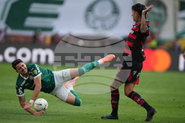 Peru Brazil Copa Libertadores Soccer