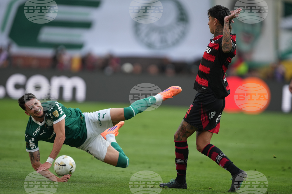 Peru Brazil Copa Libertadores Soccer