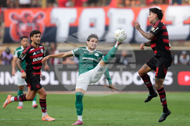 Peru Brazil Copa Libertadores Soccer