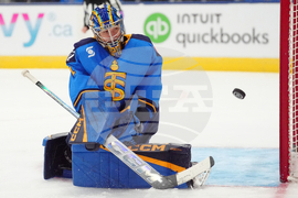 PWHL Fleet Sceptres Hockey