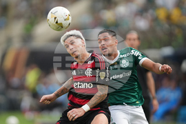 Peru Brazil Copa Libertadores Soccer