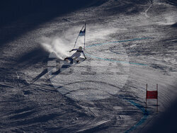 United States World Cup Giant Slalom Skiing