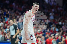 Norfolk Arizona Basketball