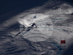 United States World Cup Giant Slalom Skiing