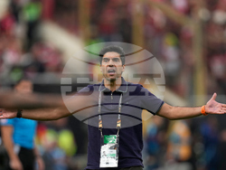 Peru Brazil Copa Libertadores Soccer