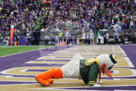 Oregon Washington Football