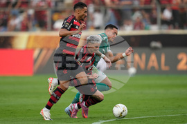Peru Brazil Copa Libertadores Soccer