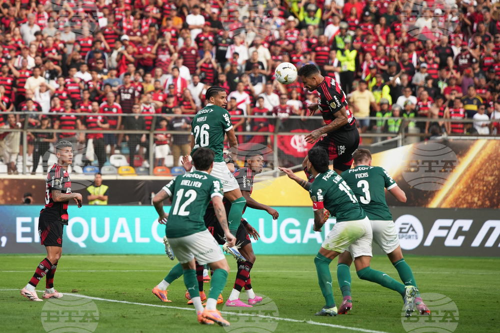 Peru Brazil Copa Libertadores Soccer