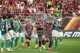 Peru Brazil Copa Libertadores Soccer