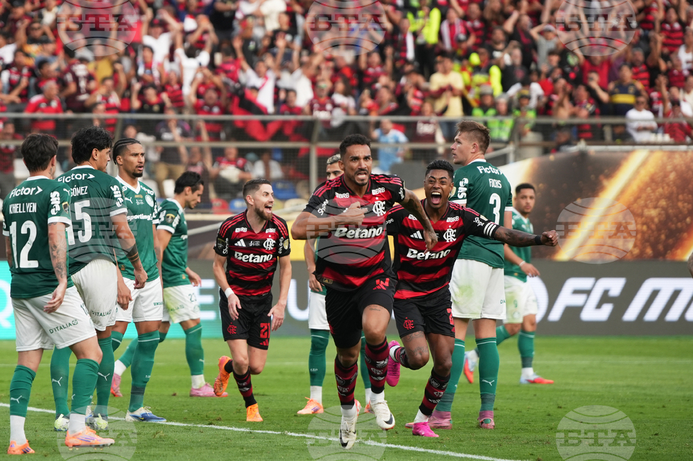 Peru Brazil Copa Libertadores Soccer